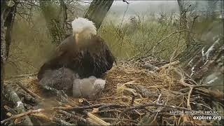 04_27_19_Decorah Eagles - Mom is doing her best