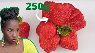 15 BIGGEST Fruits and Vegetables EVER Recorded | REACTION