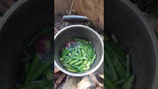 Sinigang na hipon