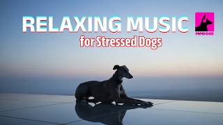 Relaxing Music for Stressed Dogs | Calming Music with Gentle Dog Color Therapy Visuals 🐶🎶