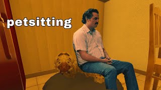 petsitting