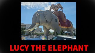 LUCY THE ELEPHANT: July 14, 2025 REUPLOAD