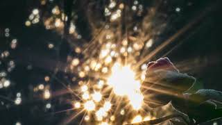 Sam Morgan - Fleeting Light