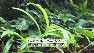 𝐏𝐥𝐚𝐲𝐥𝐢𝐬𝐭 🎵Relaxing Lo-fi Chillhop Instrumental Beats for Focus & Relaxation 🎧