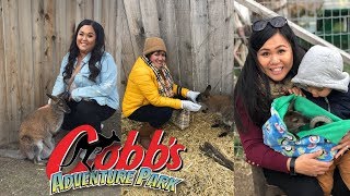 CUDDLING BABY KANGAROOS!