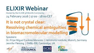 It is not crystal clear: resolving chemical ambiguities in biomacromolecular modelling