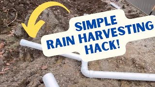 Rain harvesting trick! Free extra water!