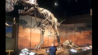Tellus Science Museum Cartersville, Ga