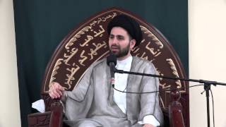 Media strategies to control people's minds - Sayed Mohammad Baqer Al Qazwini