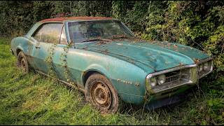 Fixing up an old Firebird