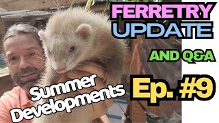 Ferretry Update and Q&A Ep#9 - Mid Summer