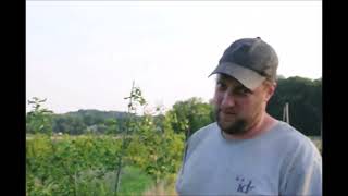 Landscaping Oaks  grown at Highland Hill Farm  Near Dublin Pa