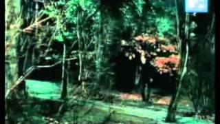 BOSSON - Over the mountains