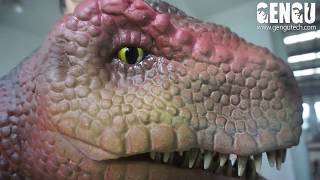 Gengu Dinosaurs - Interactive Product Dino baby T-rex