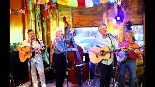 Manitou Strings live performance of The Band's Ophelia