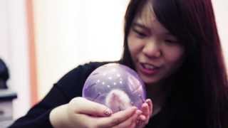 PsychedTV Season 6 Episode 3 Season Finale (June 2013 Semester)