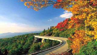 Lonnie Mack-Back On The Road Again