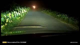 घुघली क्षेत्र में निकला अजगर सांप जनपद महाराजगंज