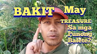 BAKIT MAY TREASURE SA MGA PUNONG BALETE???