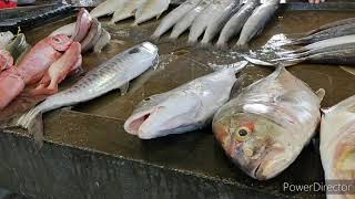 Fish Market || Koki Port Moresby Papua New Guinea