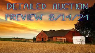 Detailed Auction Preview video for todays auction, 8/14/24