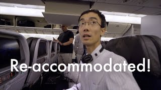 I've got re-accommodated - Lok's Wideo Blog