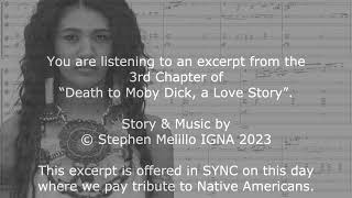 Excerpt from Chapter 3, Death to Moby Dick, a Love Story