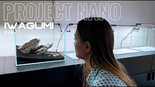 Nano gallery Iwagumi scape