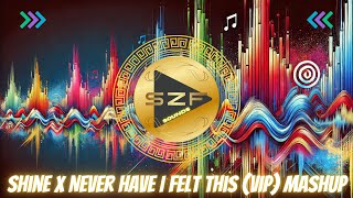 Shine x Never Have I Felt This (VIP) Mashup