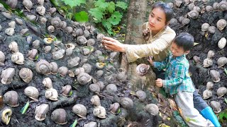 The Hard Days of a Single Mother: Finding Lots of Wild Snails to Cook - Tiểu Hương