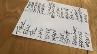 Roger Clyne & the PMs - West Texas Moon (partial) , Secret Gig, 7/30/18