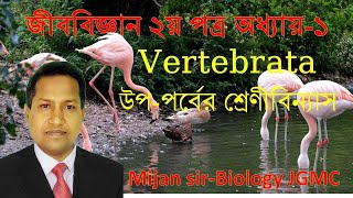 Classification of vertebrata