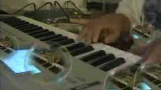 Somali live music by Hashim yare
