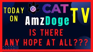 CAT & AmzDoge - Crypto Passive Income - Latest Update