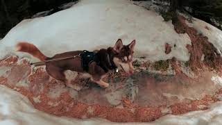 RedSnowTube