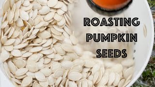 Roasting Pumpkin Seeds - From Beginning to End