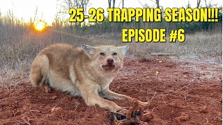 WE CAUGHT OURSELVES ANOTHER PRETTY COYOTE!!!