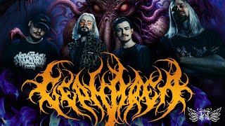 Cepharea - Live at Zoccolo 2026.01.24