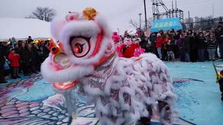 Lavang's lion dance team - Grand Rapids Lunar New Year celeberation 2020