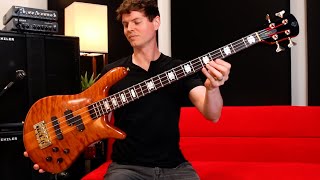 The NEW Doug Wimbish SPECTOR EURO 4 is TERRIFYINGLY GOOD