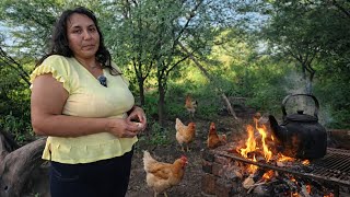 A woman from the mountains builds her mud house and lives off what she grows.