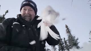 Random Moose Hunting & Trapping Clips
