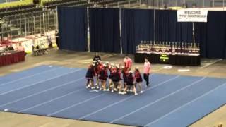 Wildcats 14U