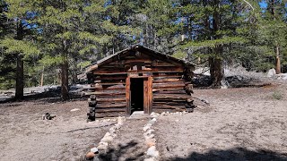 Shorty's Fur Trapper Cabin 2025