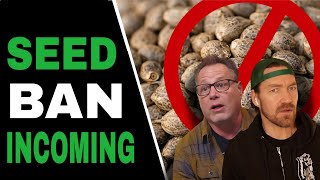 Cannabis Seeds Might Be Banned… What to Do