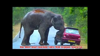 Elephant attack on a Car | Elephant Chasing Bike & Car | Nice Road | Mysuru Exp | Coorg | #kannur