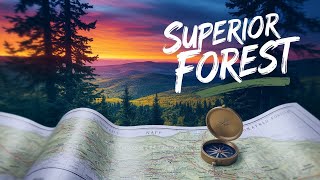 The Ultimate Road Trip Through Minnesota's Superior National Forest