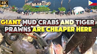 Exploring Malabon’s Mega Dike: Seafood Finds & Scenic Views! 🐟🚴