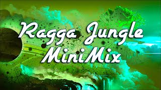 Ragga Jungle Minimix