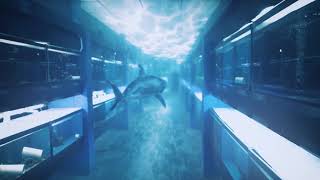 Shark Week Spot 2020 - That Fish Place - That Pet Place Lancaster, PA